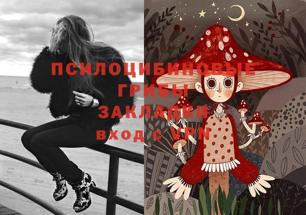 дживик Приозерск